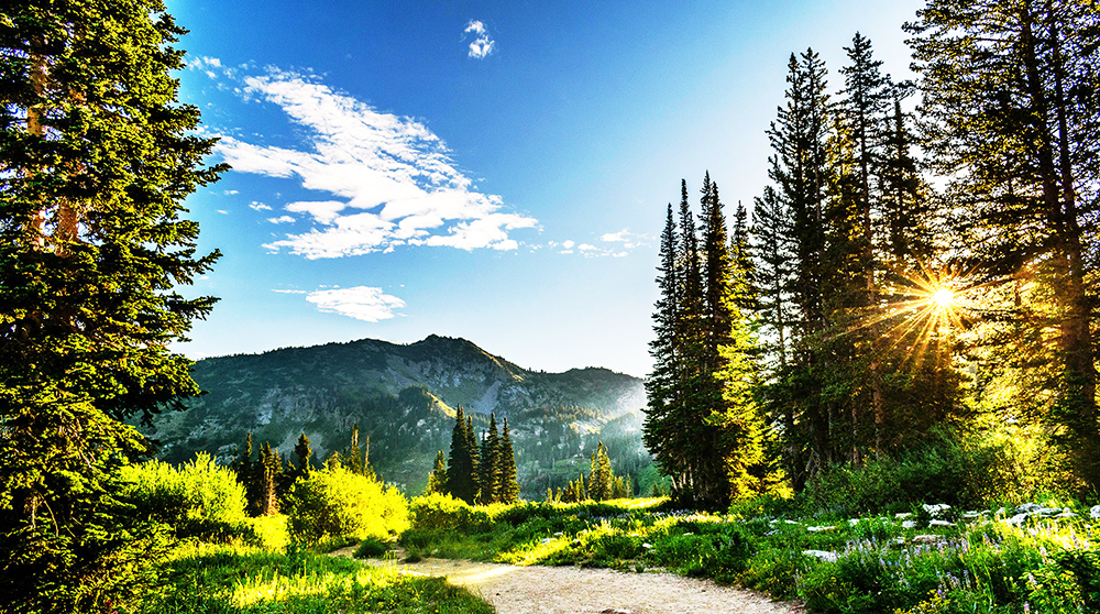 landscape, sunlight